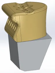 Head.webp
